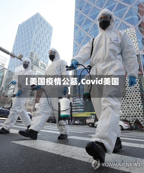 【美国疫情公墓,Covid美国】