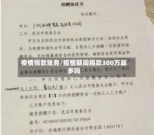 疫情捐款账务/疫情期间捐款300万算多吗