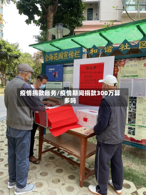 疫情捐款账务/疫情期间捐款300万算多吗-第3张图片