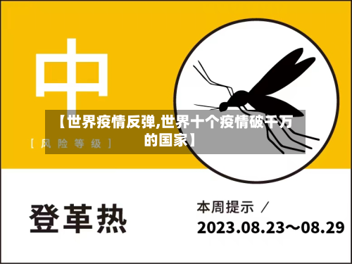 【世界疫情反弹,世界十个疫情破千万的国家】-第2张图片