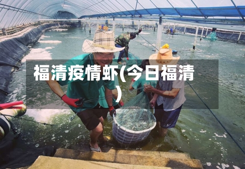 福清疫情虾(今日福清)