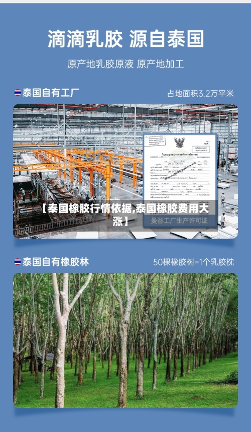 【泰国橡胶行情依据,泰国橡胶费用大涨】-第2张图片