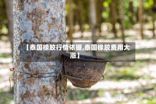 【泰国橡胶行情依据,泰国橡胶费用大涨】-第3张图片