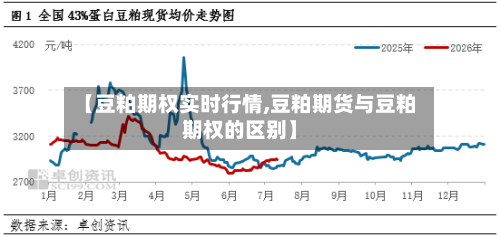 【豆粕期权实时行情,豆粕期货与豆粕期权的区别】