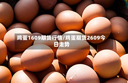 鸡蛋1609期货行情/鸡蛋期货2609今日走势-第2张图片