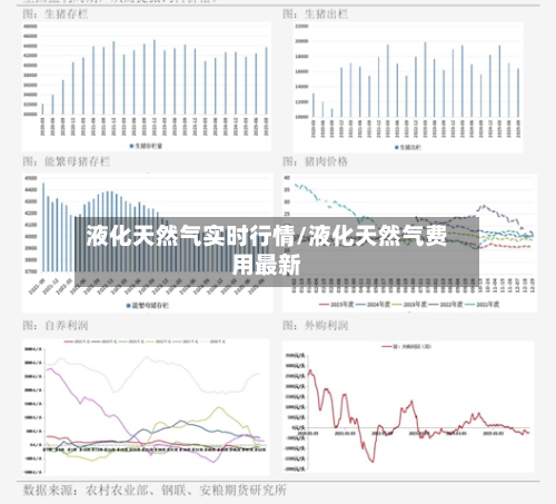 液化天然气实时行情/液化天然气费用最新-第2张图片