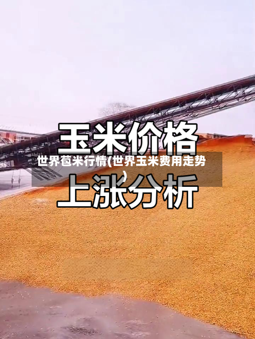 世界苞米行情(世界玉米费用走势)-第2张图片