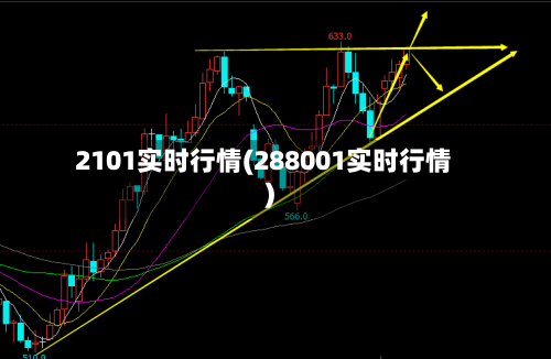 2101实时行情(288001实时行情)