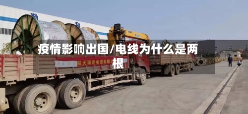疫情影响出国/电线为什么是两根