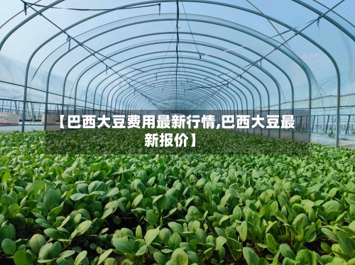 【巴西大豆费用最新行情,巴西大豆最新报价】