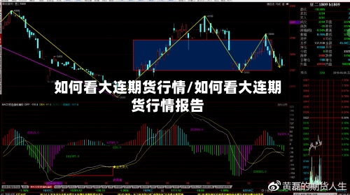 如何看大连期货行情/如何看大连期货行情报告-第2张图片