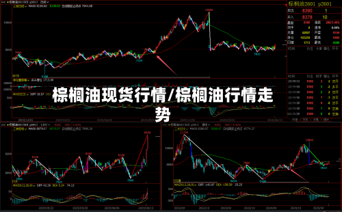 棕榈油现货行情/棕榈油行情走势-第3张图片