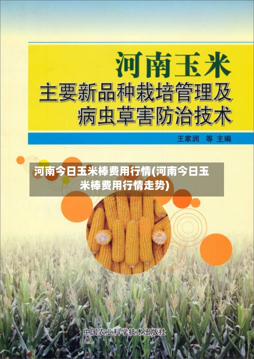 河南今日玉米棒费用行情(河南今日玉米棒费用行情走势)-第3张图片