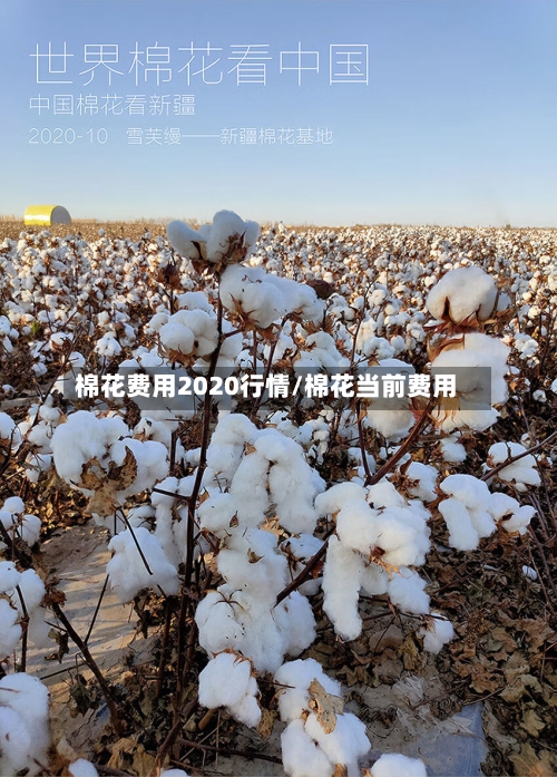 棉花费用2020行情/棉花当前费用-第3张图片