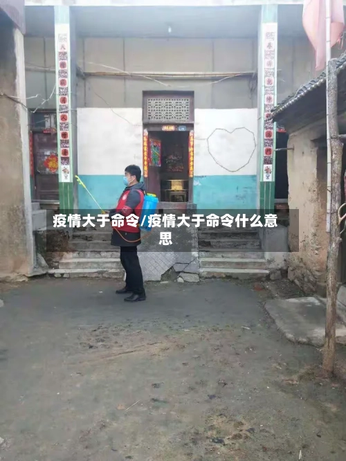 疫情大于命令/疫情大于命令什么意思-第2张图片