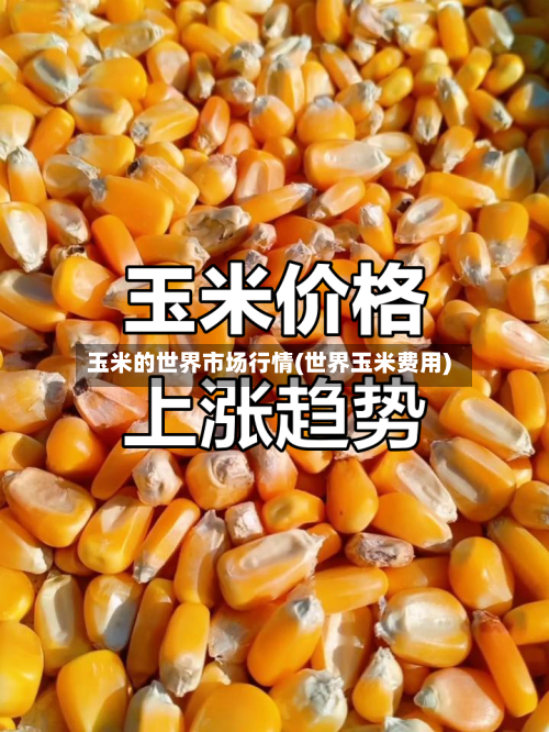 玉米的世界市场行情(世界玉米费用)
