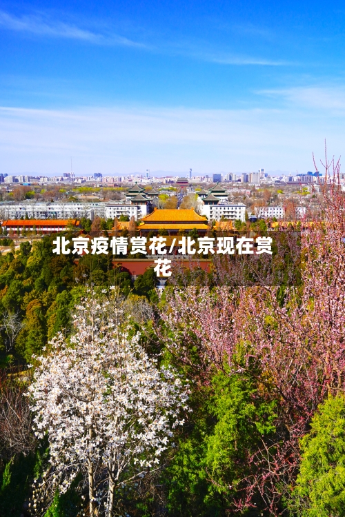 北京疫情赏花/北京现在赏花