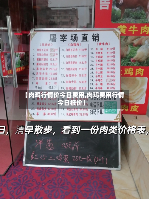 【肉鸡行情价今日费用,肉鸡费用行情今日报价】-第2张图片