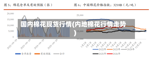 国内棉花现货行情(内地棉花行情走势)