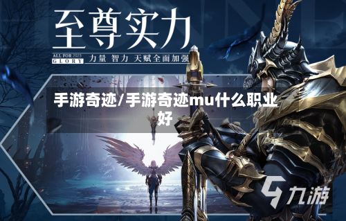手游奇迹/手游奇迹mu什么职业好