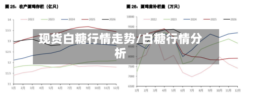 现货白糖行情走势/白糖行情分析