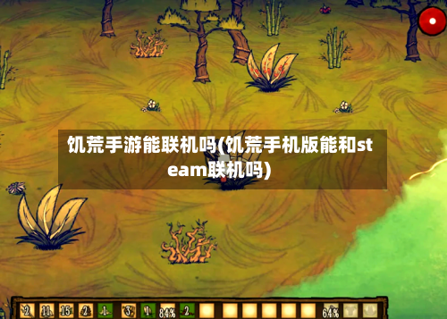 饥荒手游能联机吗(饥荒手机版能和steam联机吗)-第2张图片