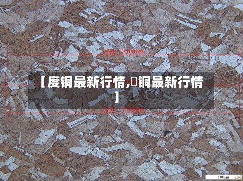 【度铜最新行情,浐铜最新行情】