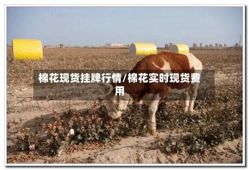 棉花现货挂牌行情/棉花实时现货费用-第2张图片