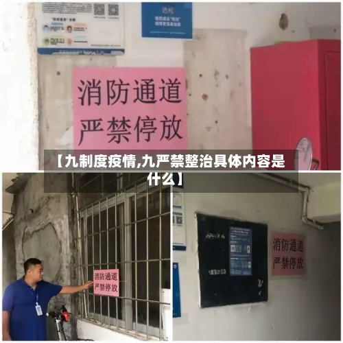 【九制度疫情,九严禁整治具体内容是什么】