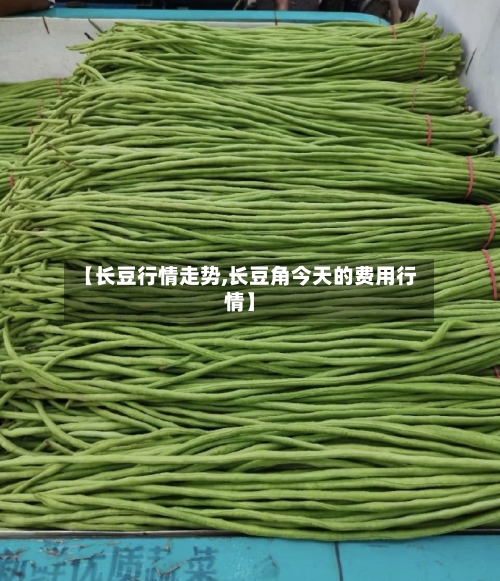 【长豆行情走势,长豆角今天的费用行情】-第3张图片