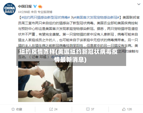 纽约疫情咋样(美国纽约新冠状病毒疫情最新消息)