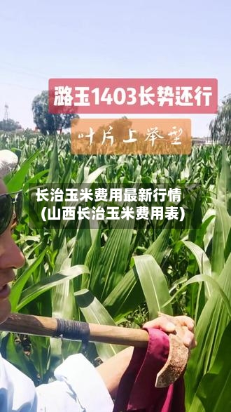 长治玉米费用最新行情(山西长治玉米费用表)-第3张图片