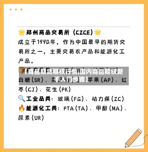 【商品期货期权行情,国内商品期权新手入门步骤】-第2张图片