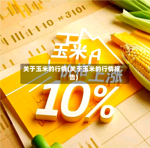 关于玉米的行情(关于玉米的行情报告)