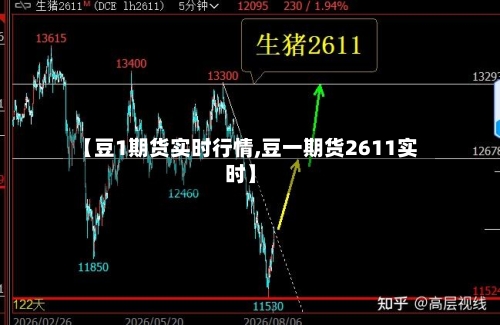 【豆1期货实时行情,豆一期货2611实时】-第2张图片