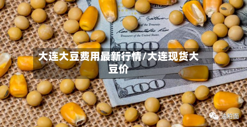 大连大豆费用最新行情/大连现货大豆价-第2张图片