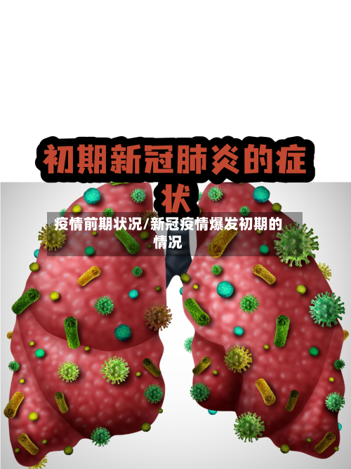 疫情前期状况/新冠疫情爆发初期的情况-第2张图片