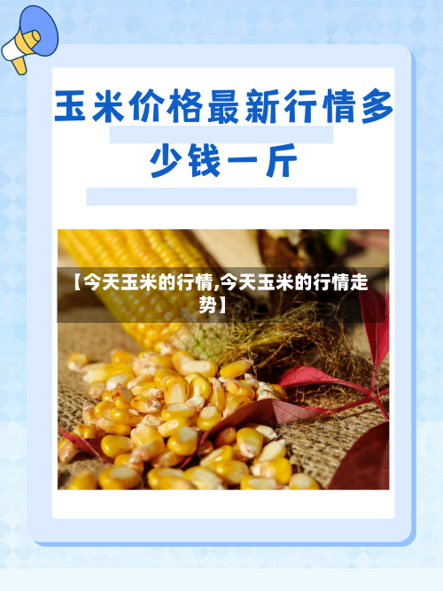 【今天玉米的行情,今天玉米的行情走势】-第2张图片