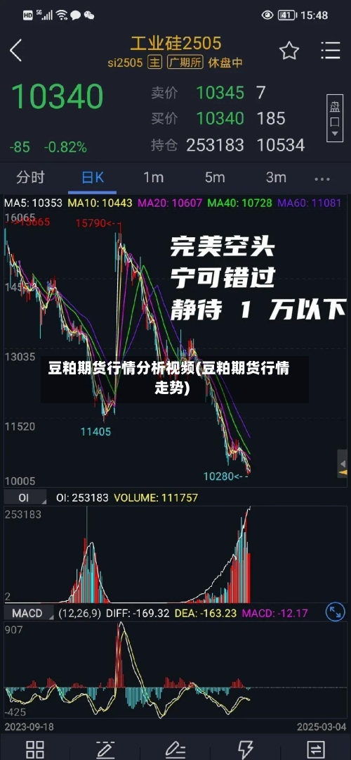 豆粕期货行情分析视频(豆粕期货行情走势)-第2张图片