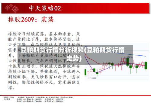 豆粕期货行情分析视频(豆粕期货行情走势)-第3张图片