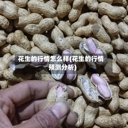 花生的行情怎么样(花生的行情预测分析)-第3张图片