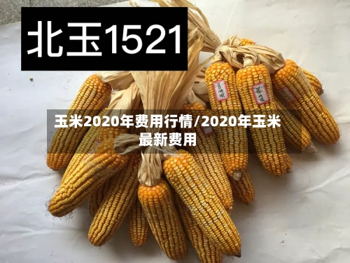 玉米2020年费用行情/2020年玉米最新费用