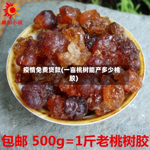 疫情免费贷款(一亩桃树能产多少桃胶)