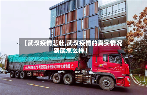 【武汉疫情悲壮,武汉疫情的真实情况到底怎么样】