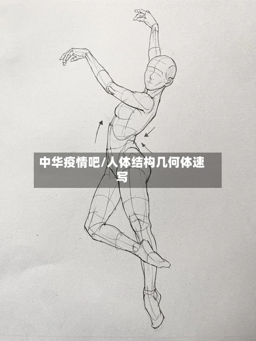 中华疫情吧/人体结构几何体速写
