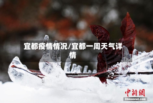 宜都疫情情况/宜都一周天气详情-第3张图片