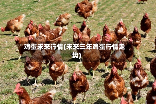 鸡蛋未来行情(未来三年鸡蛋行情走势)