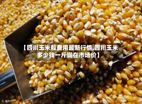 【四川玉米粒费用最新行情,四川玉米多少钱一斤现在市场价】-第3张图片