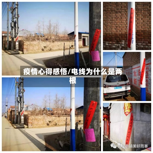 疫情心得感悟/电线为什么是两根