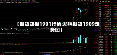 【期货郑棉1901行情,郑棉期货1909走势图】